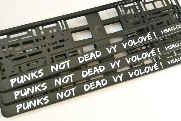 Ukázka individuálního zpracování dle požadavku (off-line proces)